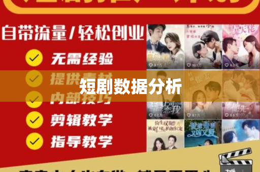 短剧数据分析